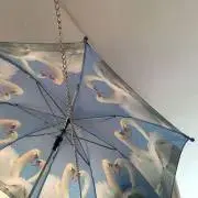 ラキラキ
