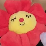 のこの画像