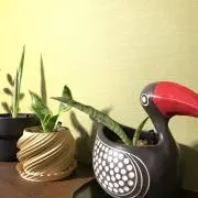 Toriの画像