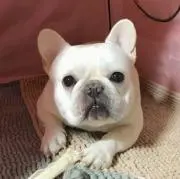 まめ
