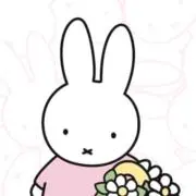 ももんの画像