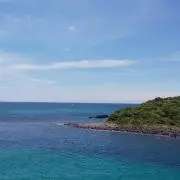 Haruの画像