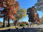 ミッシェル・ドラクロワ真作 「サンジャック通り」 2005年 シルク