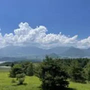 ひかりの画像