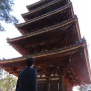 Yn2577の画像