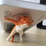 チーの画像