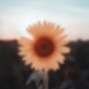 ちな