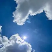 ぴのきこの画像