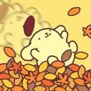 ぽむの画像