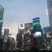 ひろの画像