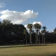 ほたるん