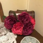 megu☆プロフ必読☆