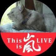 りんにゃんママ