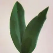 19k@フォロー割引してます✨✨