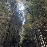 s!の画像