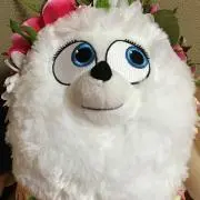chihaの画像
