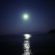 てん330の画像