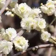 Seta⭐︎の画像