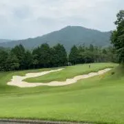 タカの画像