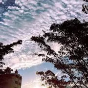 さえの画像