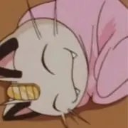 にゃんの画像