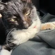 のぐち
