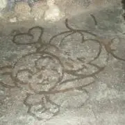 ぴのの画像