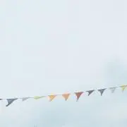 はなの画像