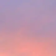 Rabbitの画像