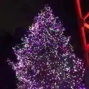 あいの画像