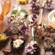 herbal teaの画像