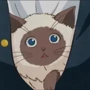 スースーの画像