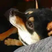 hikaruの画像