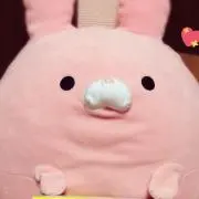 もみじの画像