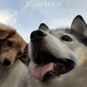 SHの画像