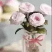 ノンタンの画像