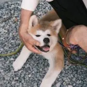 harunaの画像