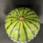 Ｒ子の画像