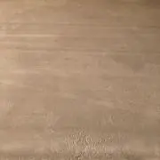 ボンの画像