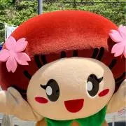 マダタスカルの画像
