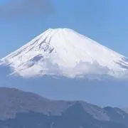 全ちゃんの画像