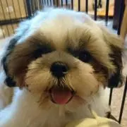 むーたろう