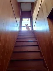 木下の画像