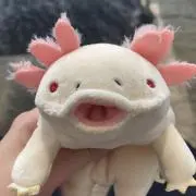 えね（プロフ必読)の画像