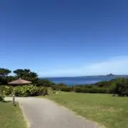 くまの画像