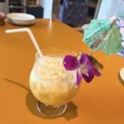 ロディアの画像