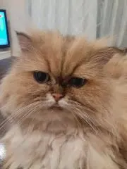 ナオト
