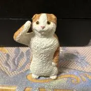p-sukeの画像