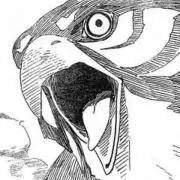 ピエトロの画像