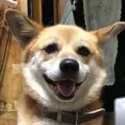 ちいの画像